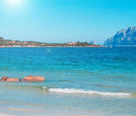 Casa Delfino Διαμέρισμα Murta Maria Εξωτερικό φωτογραφία